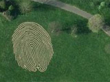 World’s Largest Fingerprint