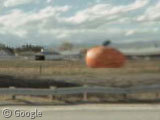 giant-pumpkin.jpg