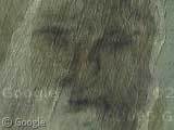 Face in sand dune