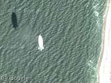 Blimp Over The Florida Coast