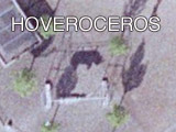 HOVEROCEROS