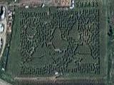 Sever’s Corn Maze 2002-2003