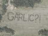 Garlic?!