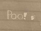 Poo!