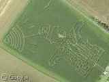 maize maze