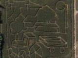 Canadian Farm Maze