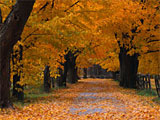 autumn-desktop-pic.jpg