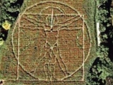 The Vitruvian Man