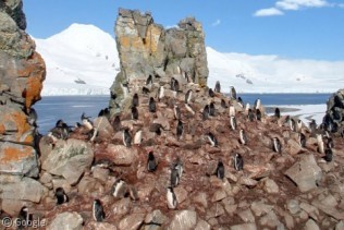 New Street View images for Antarctica, Ireland and Brazil
