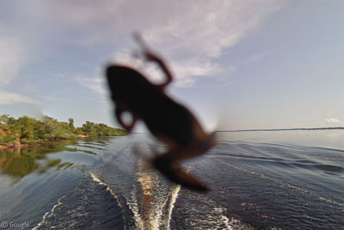 Boat View